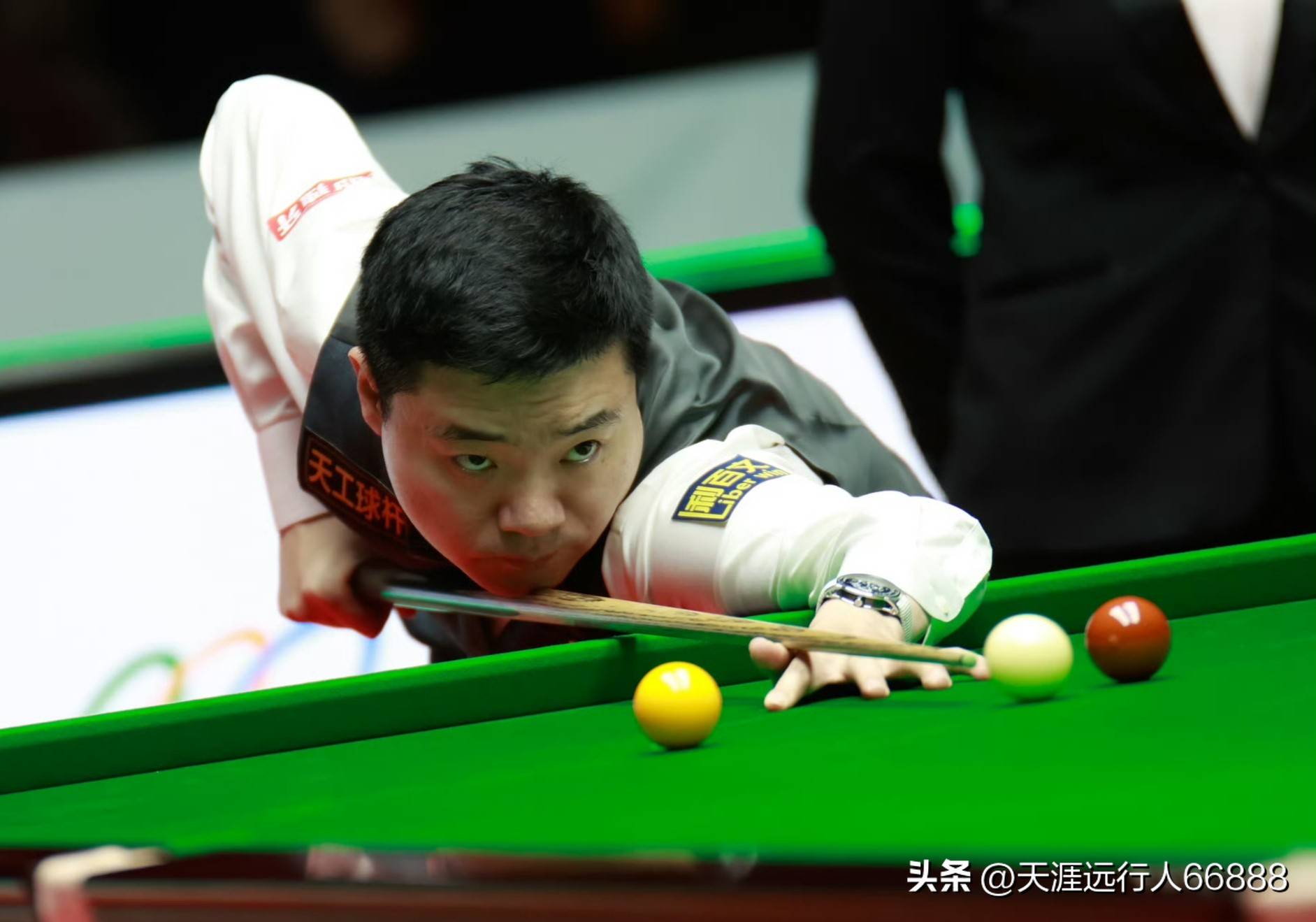 马林的毅力 马林的毅力