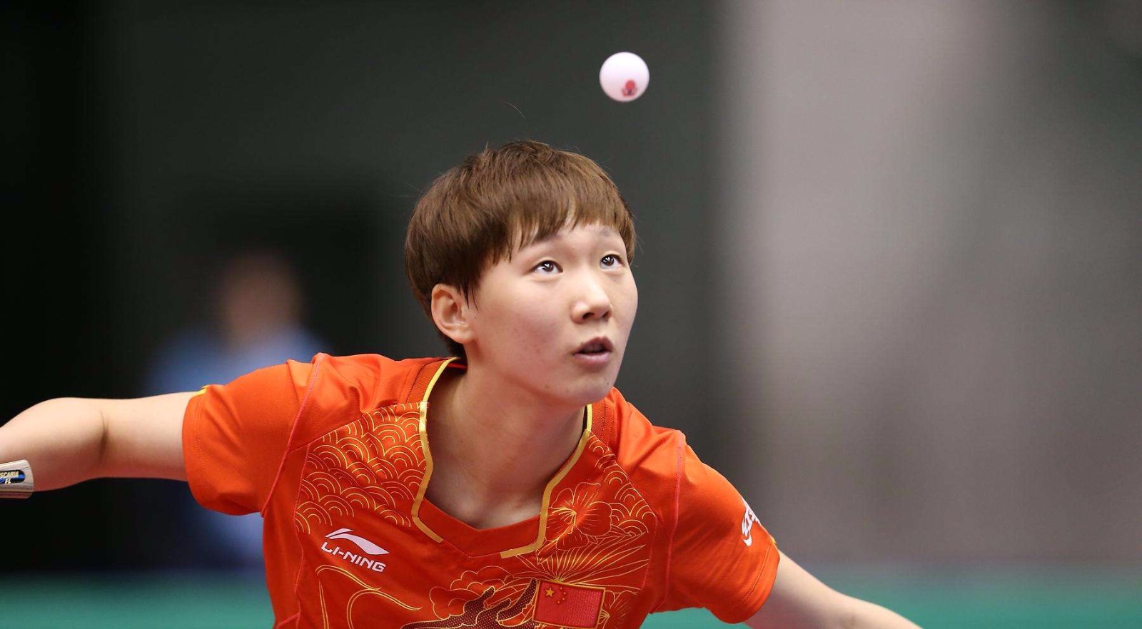 比如允许教 比如允许教